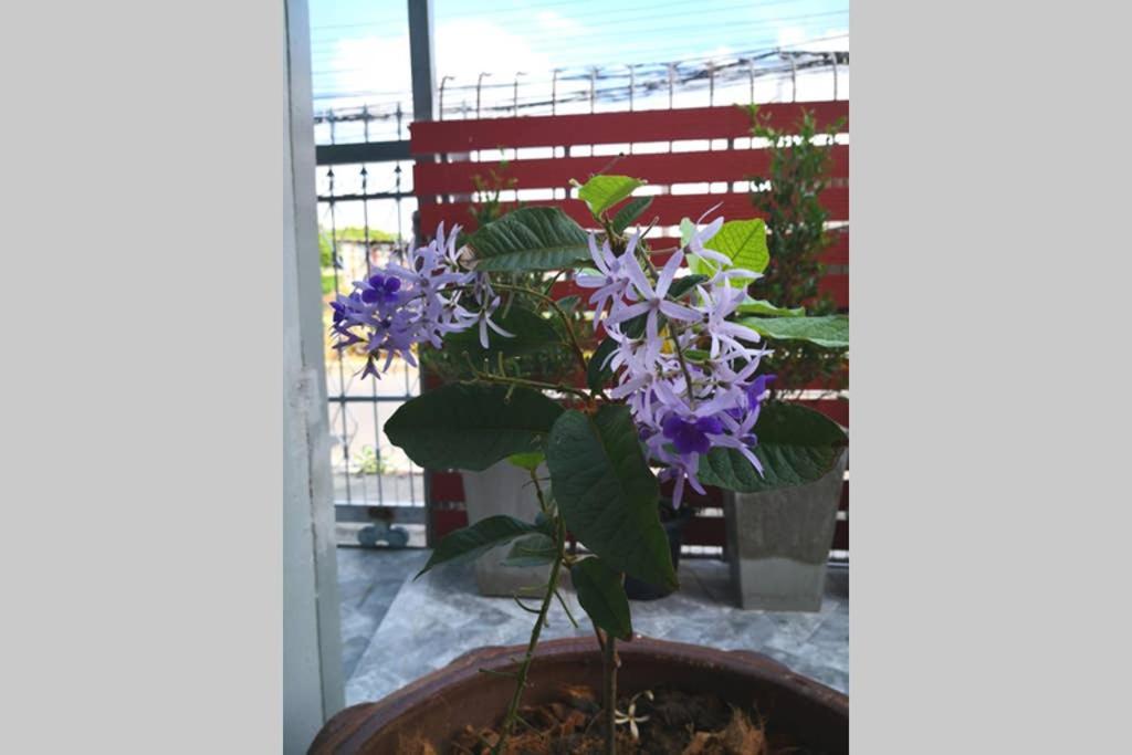 Bluebell House Hatyai - Cosy 3 Bedrooms For 10 Pax - 9 Mins Drive To Lee Grd Ban Kho Hong Eksteriør billede
